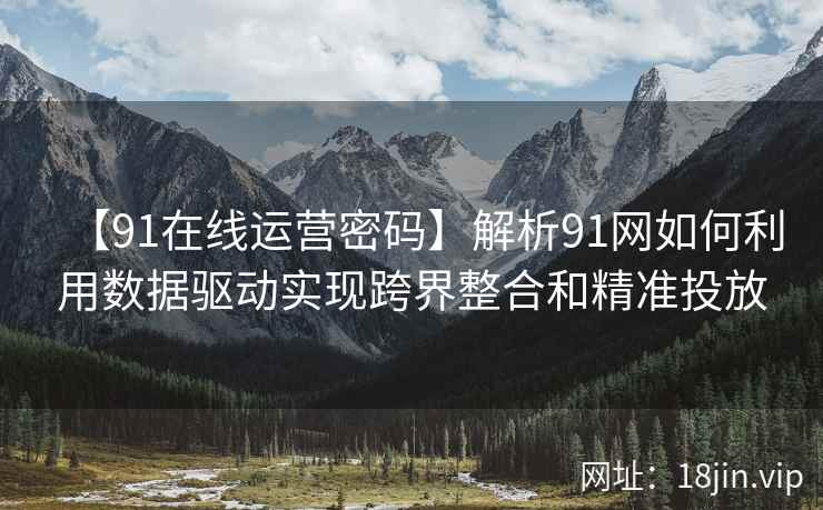 【91在线运营密码】解析91网如何利用数据驱动实现跨界整合和精准投放