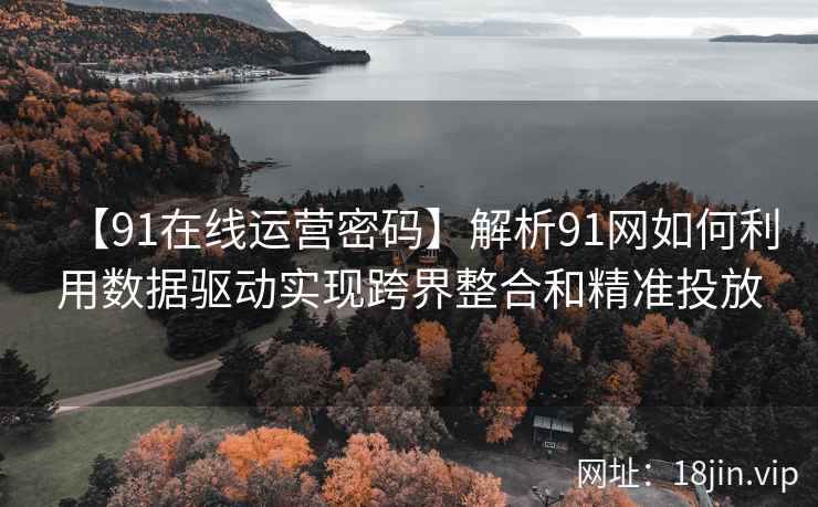 【91在线运营密码】解析91网如何利用数据驱动实现跨界整合和精准投放